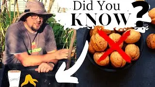 This MISTAKE could RUIN your GARDEN, We Never COMPOST it!