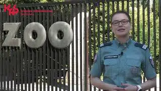 Prawie 900 koralowców zatrzymanych przez mazowiecką KAS