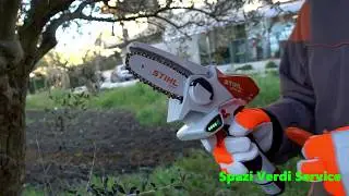 Potatore a batteria Stihl GTA 26
