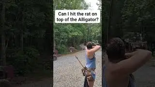 Rat off the alligator,  is it possible? #3darchery #archery #traditionalarchery #longbow