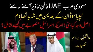 Rising Tensions Between Saudi Arabia and the UAE | Full Analysis