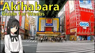 How to Tour Akihabara like a True Weeb (Anime Merchandise, Figurines, Maid Cafes, and More!)