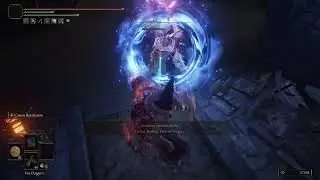 Elden Ring Invasions Haima&rsquo;s Follower Level 60 Part 4