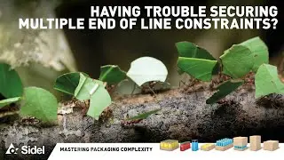 Having trouble with multiple flow constraints?