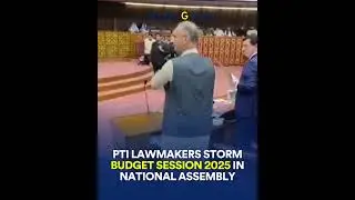 PTI Lawmakers Storm Budget Session 2025 in National Assembly | Chaos & Slogans