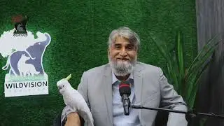 Grand Launch Cermony Wildvision Guest #birdsofpakistan #lovebirds #Aviarypakistan #viralyoutubevideo