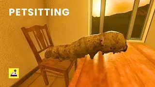 Ini hewan peliharaan apa sih? - PETSITTING
