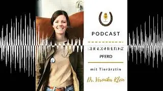 Gibt es die perfekte Pferdehaltung?