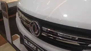 Emblem DFSK