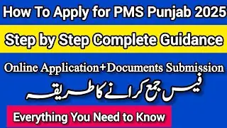 How To Apply For PMS Punjab | Step By Step Complete Guidance | PMS 2025 | 1 Paper Cracker