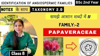 Papaveraceae Family 🏵️ || Floral diagram and formulas || Taxonomy || Economic importance ||