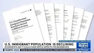Immigrant population in the US has started to decline for the first time in years