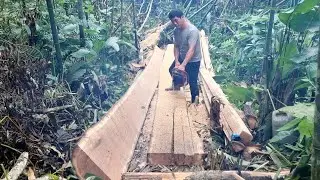 TIMELAPSE: 30-day journey of sawing and delivering wood to customers in the middle of the jungle