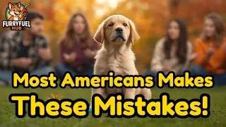 5 Common Dog Training Mistakes Most Americans Make 😬