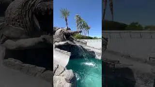 🌞 Dive into Adventure: Experience Forever Young in the Desert! 🐊✨ Your Ultimate Getaway Awaits! Bo