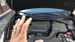 Nissan Altima &ndash; Brake fluid