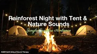 Jungle Campfire Ambience | Rainforest Night with Tent & Nature Sounds