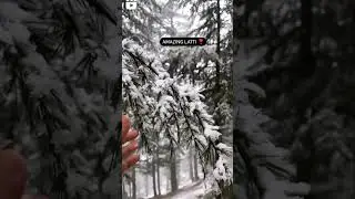 first snowfall in j and k dudu basantgarh ...