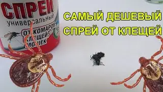 Самый дешевый спрей от Клещей | Проверил спрей универсальный 