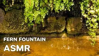 🍃 Фонтан ASMR и экзотические папоротники | Успокаивающие капли воды и звуки природы #RelaxedJourneys