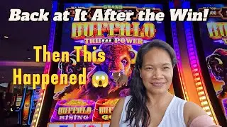 Buffalo Triple Power | Back at It After a $400 Win!...Then This Happened 😱🦬