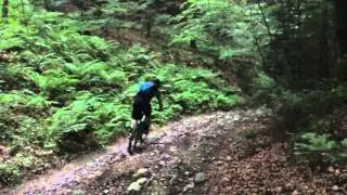 Schwalbe Procore Riding
