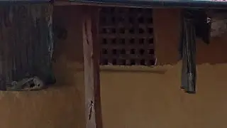 purkhauli ghar is live!