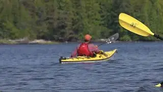 Sea Kayak Eco Tour - Ketchikan, Alaska
