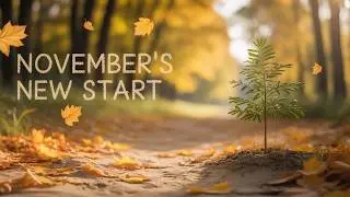 Use November Energy to Attract Prosperity for 2026