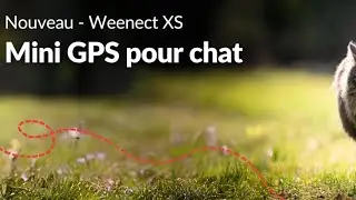 Meilleur Collier GPS pour Chat en 2024 - Weenect Chat XS