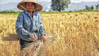 How To Start Village Tourism Business I Agro Tourism I Idea Ka Pitara