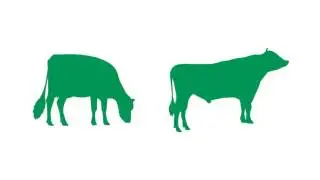 Better breeding selection with genetics