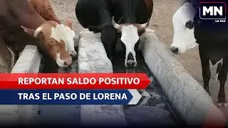 #LaPaz #TTLorena Reportan saldo positivo tras el &acute;paso de 