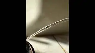 Laminar flow #chemistry #physics