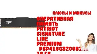 Оперативная память Patriot Signature Line Premium [PSP416G320081H1] 16 ГБ - Обзор