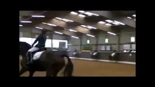 Turnier Gut Waldhof RWB Melina mit Brenda