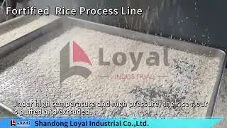 Fortified Rice Kernels(Frk)Machine|Instant Rice Making Machine|Fortified Rice Machine|8618954109821