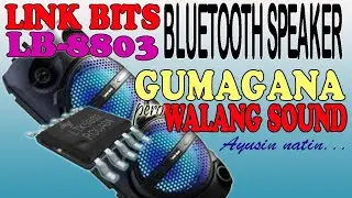 Link Bits LB-8803 Gumagana Pero Walang Sound! Paano Naayos? #LinkBits #BluetoothSpeaker #NoSoundFix