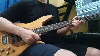 Central - John Frusciante [Bass Cover]