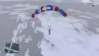 GTA5bug
