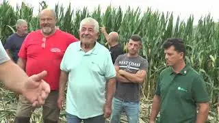 TG - Cinghiali : appello alla politica degli agricoltori vestini