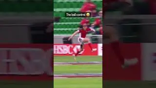 THE BALL CONTROL