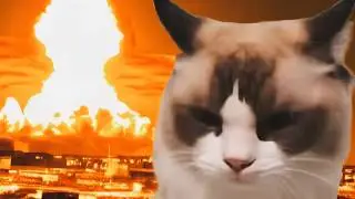 Mr. Boom Cat REMIX!