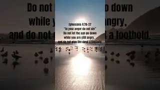 Bible verses about how we control our emotions #bible #bibleverses #emotional #emotions