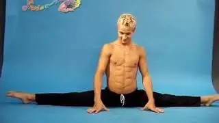 Dima Shine Stretching Exercises #2