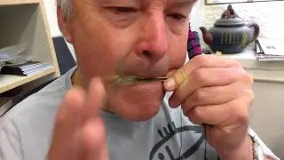 Dan Moi bass jaw harp
