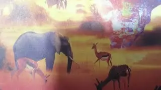 نظم الغابات في افريقيا للصف الأول الاعدادي الترم الاول 2026 