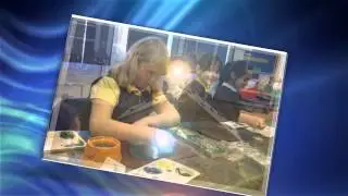 Pupil Premium Awards 2015