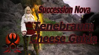 Black Desert Online | Tenebraum Cheese Guide | Succession Nova Grind Jan 2026