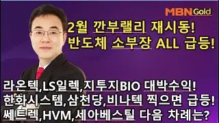 [이효근 텐배거]한화시스템,삼천당,비나텍 급등! 다음타자 공개! 라온텍,LS일렉,지투지바이오 대박! 쎄트렉아이,에이치브이엠,세아베스틸 다음 우주항공주는? (2/3)